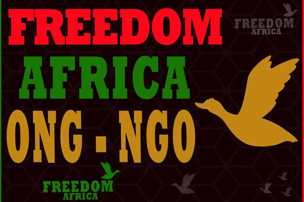 Freedom ONG Africa